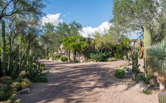 Mature desert planting frames the approach to the residence.