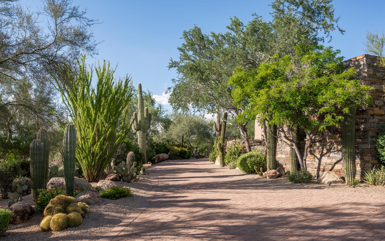 Mature trees and stone-lined planting beds border the driveway.